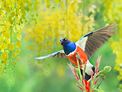 Sue Hsu's photo